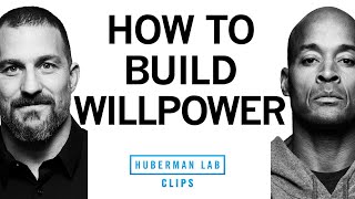 How to Build Willpower  David Goggins amp Dr Andrew Huberman [upl. by Lucky]