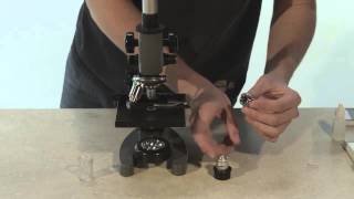 How to Use a Microscope [upl. by Ennayram]