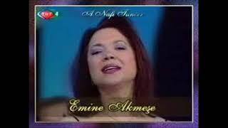 EMİNE AKMEŞE  ERİK DALI GEVREKTİR [upl. by Hyacintha]