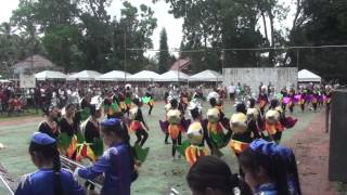 SINULOG 2014  BILAR NATIONAL HS [upl. by Hazeghi]