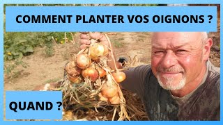 Les oignons au potager  comment planter [upl. by Werdna]