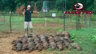 Wild Hog Trapping  17 MINE™ Trapping System before June Planting  JAGER PRO™ [upl. by Mark]