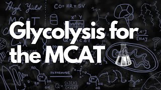 MCAT Glycolysis Need to Knows Quick Facts  Glycolysis Pathway  MCAT [upl. by Kinelski]