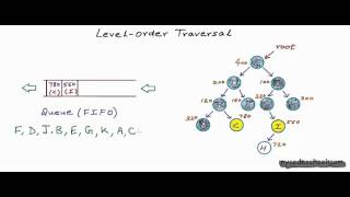 Binary tree Level Order Traversal [upl. by Evelc]