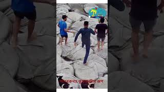 সাগরকন্যা কুয়াকাটা Kuakata Short Video Kuakata Tour beach travel kuakata [upl. by Htnnek]