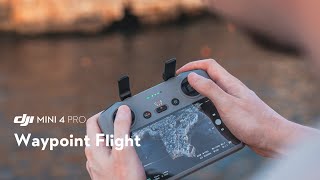 DJI MINI 4 PRO  Fly With Goggles and Motion Controller 2 [upl. by Nauqyaj235]