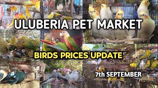 ULUBERIA PET MARKET BIRDS PRICES UPDATE 7th SEPTEMBER uluberiapetmarket cheapestprice birds [upl. by Sioux]