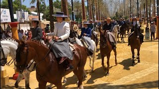 FERIA JEREZ 2022  Su majestad el Caballo conquista su territorio cofrademaniajerez [upl. by Neitsirk410]