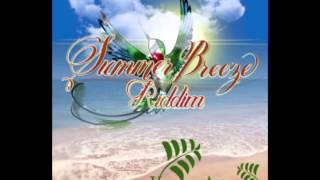 SUMMER BREEZE RIDDIM KATSJAM DIGITAL 2014 Mix Slyck [upl. by Brahear]