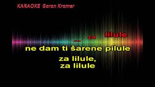 KARAOKE Bajaga  Pilule za lilule [upl. by Atil]