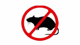 Mouse amp Rat Ultrasonic Deterrent  Cat sounds to scare mice away Rat distress call  Sound Mice Hate [upl. by Naloc]