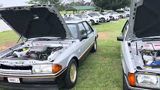 XD Fairmont Ghia amp XE ESP Sydney cars amp coffee Huburtus club Luddenham January 2024 [upl. by Jangro]