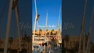 Felucca sailing on the Nile River in Luxor is a dreamy ride 🥹 luxoregypt nileriver [upl. by Favin]