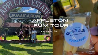 Appleton Estate Rum Tour [upl. by Ayomat586]