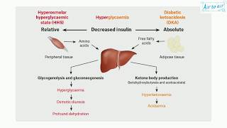 hyperosmolar hyperglycemic syndrome English  Medical terminology for medical students [upl. by Blunk]