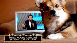 Estreno ¡Este lunes 14 a las 2130 tu perro puede convertirse en quotEl perro del millónquot [upl. by Adnalra]