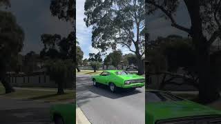 Aussie Muscle Cars Lighting Up the Tyres 🛞 💨 burnoutfriday carsandcoffee AustralianMuscleCars [upl. by Adnovoj]