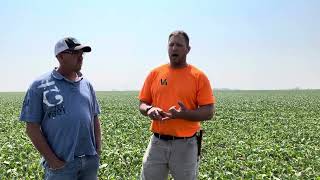 John Wise with Galva Il Nutrien discussing post soybean and fung plans with LovelandAgricen [upl. by Socram]