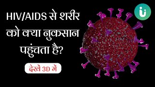 HIVAIDS से शरीर को क्या और कैसे नुकसान पहुंचता है  देखें 3D में  HIVAIDS 3D Animation in Hindi [upl. by Adneram]