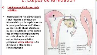 2 Deuxième Semaine du développement embryonnaire  PARTIE 1 [upl. by Immas882]