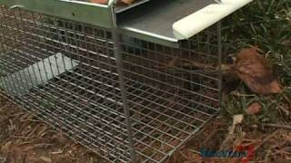 Havahart®  Easy Set® Cage Traps Instructional Video  Havahartcom [upl. by Joost]