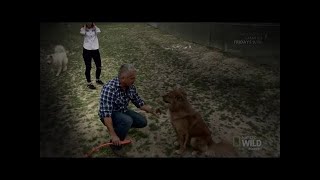 Cesar 911 Season 4 Episode 7 For the Love of Leon [upl. by Oir]