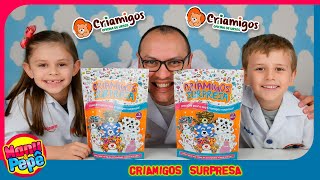 Criamigos Surpresa  Pretend Play to Make Plushies [upl. by Austina]