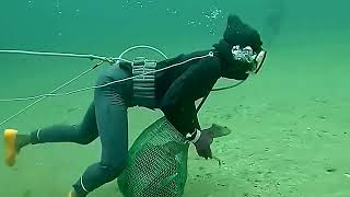 Spearfishing snapper to catch giant sea food in deep sea Catching Seafood 3 [upl. by Kandace]