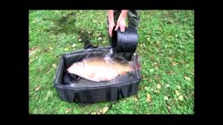 Big Carp Adventures Autumn Harvest 2 [upl. by Eteragram756]