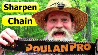 Sharpen a Chainsaw Chain Like a Pro – the Best Way [upl. by Acquah]