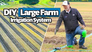 How to Install a Large Farm Drip Irrigation System Complete DIY Guide [upl. by Niras]