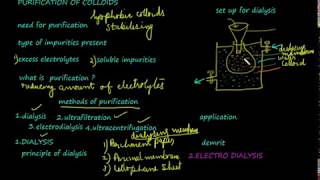 Dialysis purification of colloids class 12 chemistrysurface chemistryvideo 14 [upl. by Namilus]