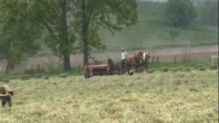 Amish Country  Take a ride in beautiful Holmes County Ohio [upl. by Goulet]