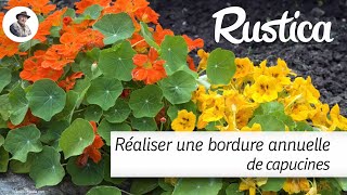 Réaliser une bordure annuelle de capucines [upl. by Rehsu182]