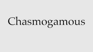 How to Pronounce Chasmogamous [upl. by Grier]