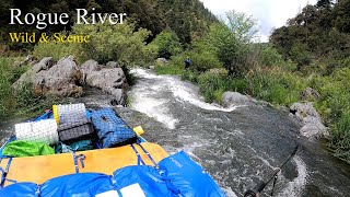 Rogue River Rafting June 2022 4750 cfs [upl. by Towney]