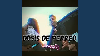 Dosis De Perreo [upl. by Ecirtnom]