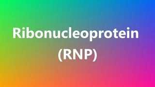 Ribonucleoprotein RNP  Medical Definition and Pronunciation [upl. by Whitten]