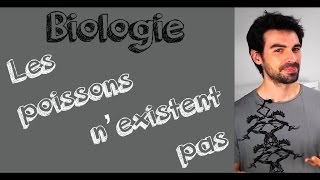 COURS DE BIOLOGIE Les poissons nexistent pas [upl. by Odlonra]