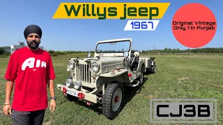 Orignal Willys Jeep  Only 1 in Punjab  Amry Disposal 4  Restored  Cj3b 1967  vintage jeep Moga [upl. by Hartnett]