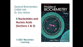 Chapter 8 Sections 1 amp 2  Nucleotides and Nucleic Acids [upl. by Gavrah149]