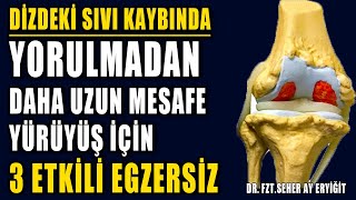 DİZ KİREÇLENMESİNDE YORULMADAN YÜRÜMEK İÇİN 3 EGZERSİZ aktifizyo fiziktedavi dizkireçlenmesi [upl. by Wat33]