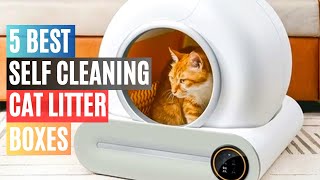 5 Best Self Cleaning Cat Litter Boxes on Amazon in 2023  Cleanliness and Convenience [upl. by Burtie]