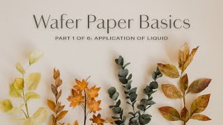 Wafer Paper Flowers Basics for Beginners Part 16 [upl. by Anura138]