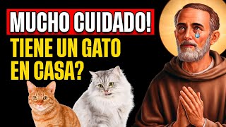 Impactante lo que San Francisco de Asís predijo para quienes tienen GATO EN CASA  Espiritualidad [upl. by Zara]