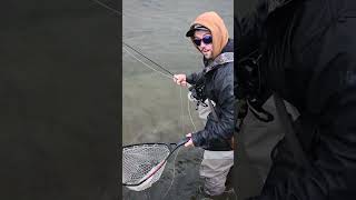 HUGE Grayling Fly Fishing in Remote Alaska fishing shorts youtubeshorts shortsvideo shortsfeed [upl. by Covell]