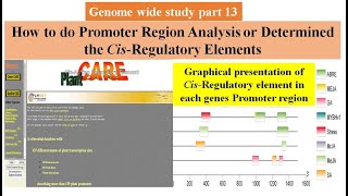 Genome wide study Part 13  Promoter region analysis using Plantcare  Cis regulatory element [upl. by Nylecoj897]