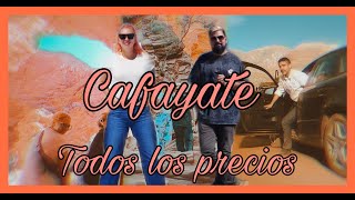 PRECIOS del NORTE ARGENTINO Guia DEFINITIVA Parte 4 CAFAYATE 🌵🥟⛰️🍷🇦🇷 [upl. by Redla265]