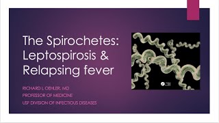 The Spirochetes Leptospirosis and Relapsing Fever  Richard L Oehler MD [upl. by Trish]