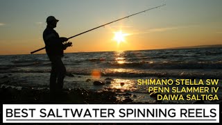 Best Saltwater Fishing Reels Shimano Stella vs Penn Slammer IV vs Daiwa Saltiga [upl. by Alford]